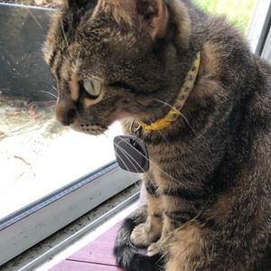 Meet your Posher, Shaena